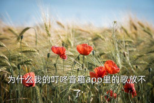 叮咚音響，為什么我的叮咚音箱app里的歌放不了