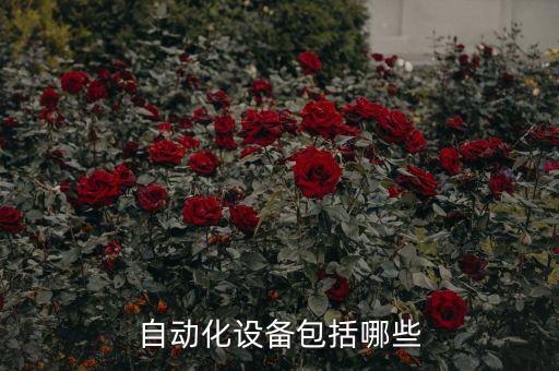 自動化設(shè)備包括哪些