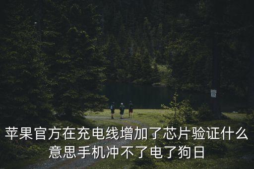 蘋果官方在充電線增加了芯片驗(yàn)證什么意思手機(jī)沖不了電了狗日