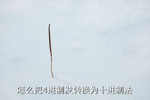 怎么把4進制發(fā)轉(zhuǎn)換為十進制法