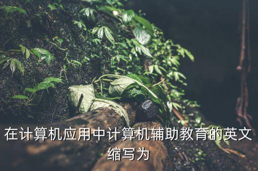在計(jì)算機(jī)應(yīng)用中計(jì)算機(jī)輔助教育的英文縮寫為