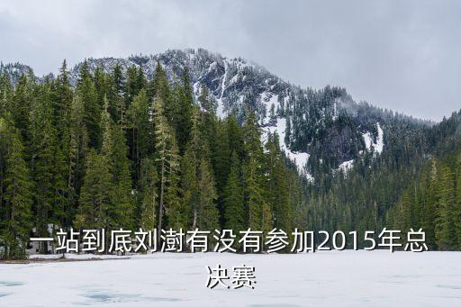 一站到底劉澍有沒有參加2015年總決賽