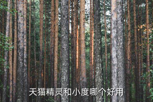 天貓精靈和小度哪個(gè)好用