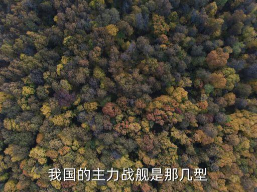 我國的主力戰(zhàn)艦是那幾型