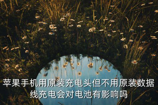 蘋果手機(jī)用原裝充電頭但不用原裝數(shù)據(jù)線充電會(huì)對(duì)電池有影響嗎