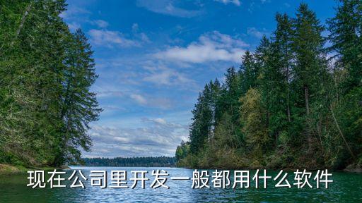 現(xiàn)在公司里開發(fā)一般都用什么軟件