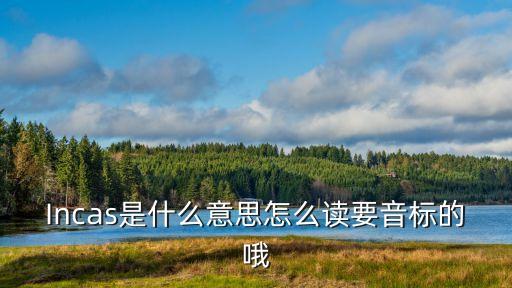 Incas是什么意思怎么讀要音標的哦