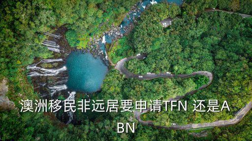 TFN，tfn是什么意思