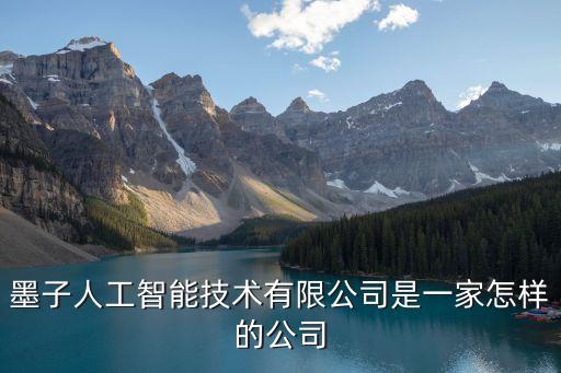 墨芯人工智能，墨子人工智能技術有限公司的使命是什么