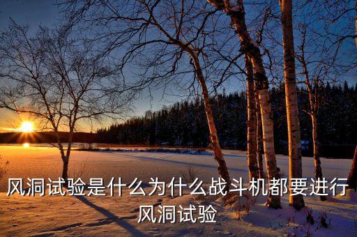風(fēng)洞試驗(yàn)是什么為什么戰(zhàn)斗機(jī)都要進(jìn)行風(fēng)洞試驗(yàn)
