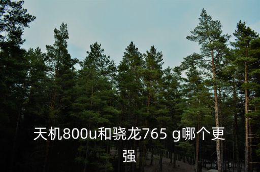 天機800u和驍龍765 g哪個更強