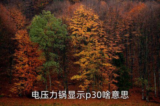 p30，電壓力鍋顯示p30啥意思
