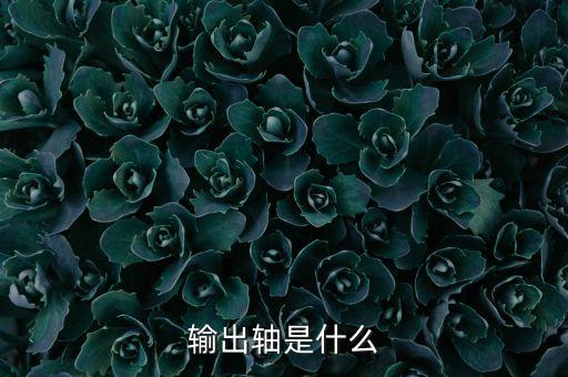 輸出軸，輸出軸的作用