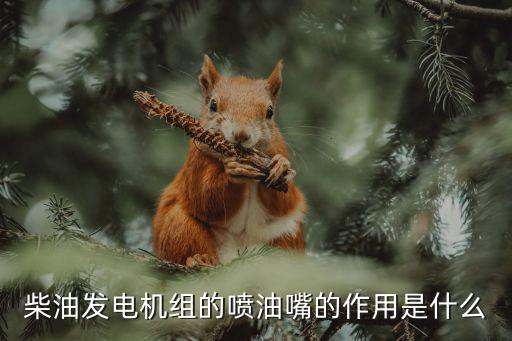 柴油發(fā)電機(jī)組的噴油嘴的作用是什么