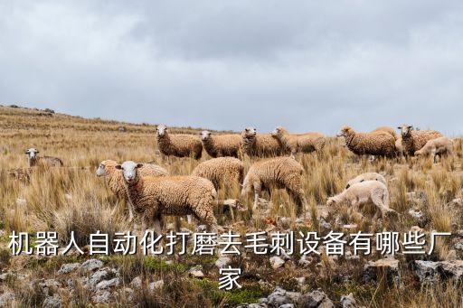機(jī)器人自動(dòng)化打磨去毛刺設(shè)備有哪些廠(chǎng)家