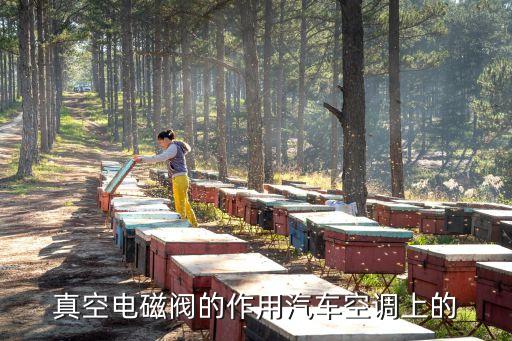 真空電磁閥，真空電磁閥的作用汽車空調(diào)上的