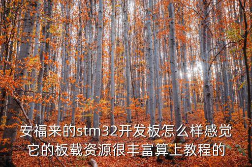 安福來的stm32開發(fā)板怎么樣感覺它的板載資源很豐富算上教程的