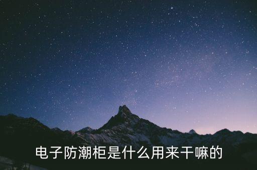 電子防潮柜是什么用來干嘛的