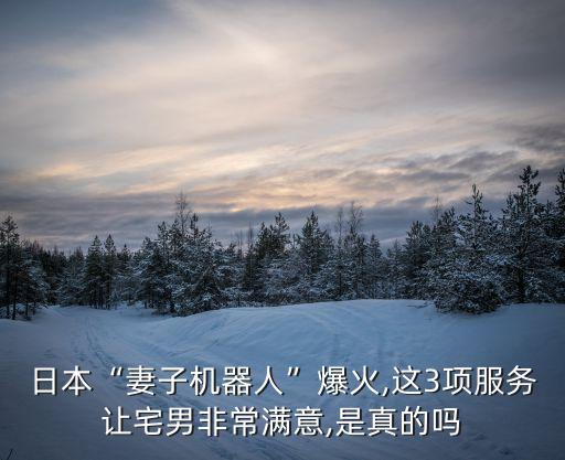 仿真機(jī)器人外型,仿真機(jī)器人有哪些可怕之處?