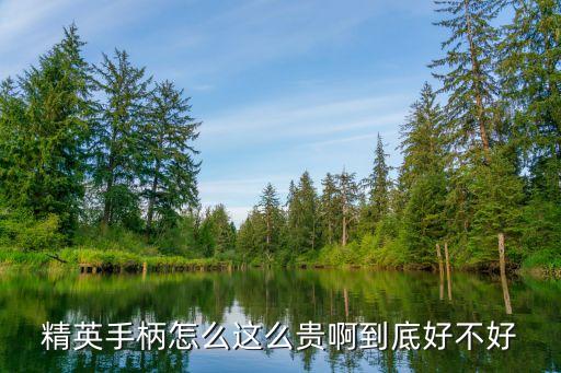 精英手柄怎么這么貴啊到底好不好