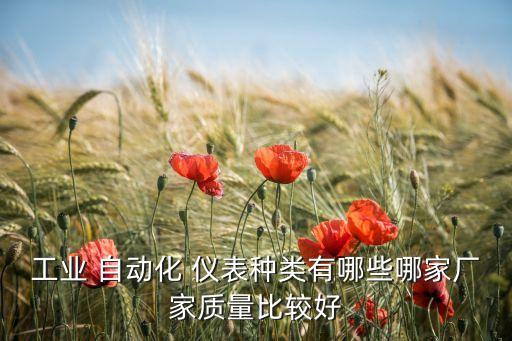 工業(yè) 自動化 儀表種類有哪些哪家廠家質(zhì)量比較好