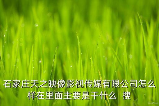 石家莊天之映像影視傳媒有限公司怎么樣在里面主要是干什么  搜