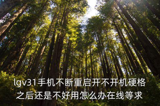 lgv31手機(jī)不斷重啟開不開機(jī)硬格之后還是不好用怎么辦在線等求