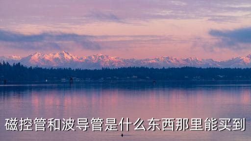磁控管和波導(dǎo)管是什么東西那里能買到