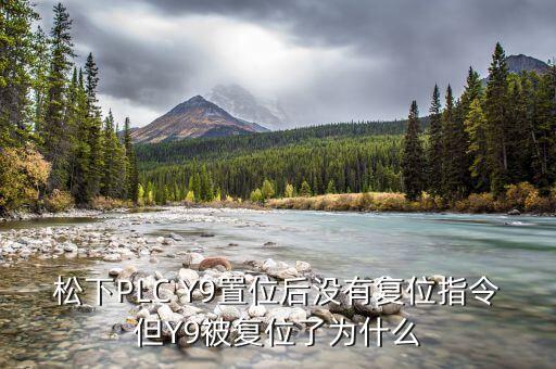 y9，仰韶特曲y9 酒精度53vol 的價(jià)格