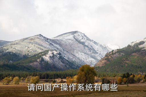 國產(chǎn)操作，請問國產(chǎn)操作系統(tǒng)有哪些