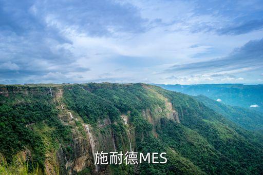 什么是mes，施耐德MES