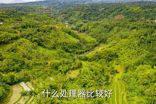 應(yīng)用處理器，什么CPU最適合軟件開發(fā)