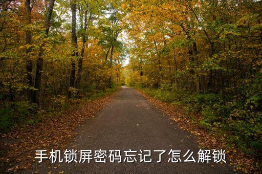 手機鎖屏密碼忘記了怎么解鎖