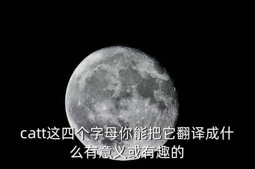catt這四個字母你能把它翻譯成什么有意義或有趣的
