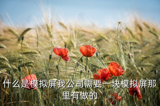 什么是模擬屏我公司需要一塊模擬屏那里有做的