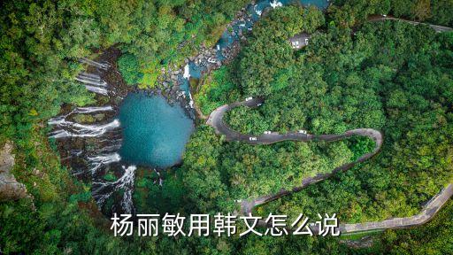 楊麗敏用韓文怎么說