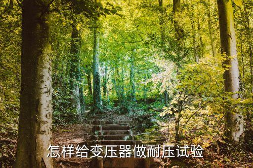 怎樣給變壓器做耐壓試驗