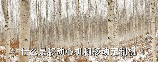 定制手機，什么是移動心機和移動定制機