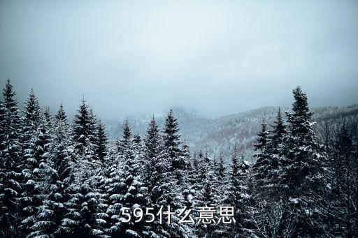 595什么意思