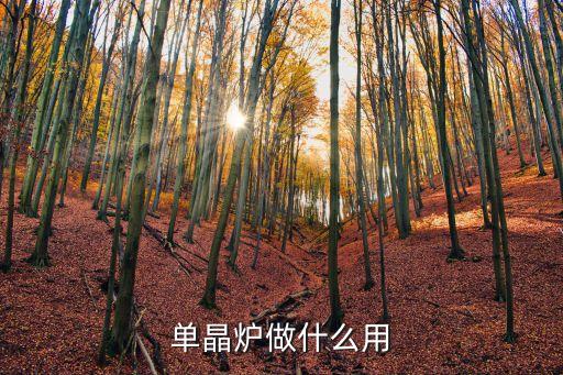 單晶爐，單晶爐做什么用