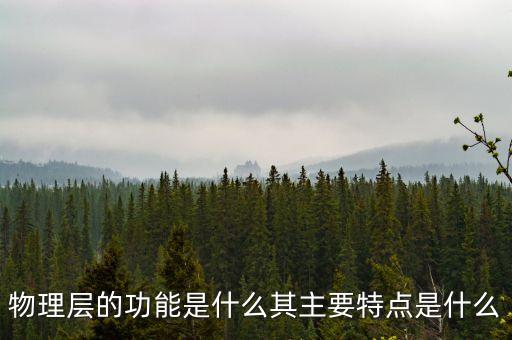 物理層的功能是什么其主要特點(diǎn)是什么