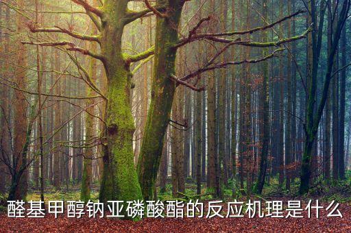 醛基甲醇鈉亞磷酸酯的反應(yīng)機(jī)理是什么