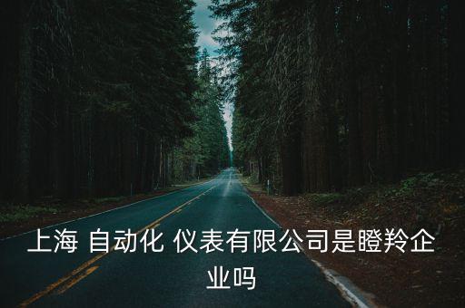 自動化儀表制造設(shè)備,在自動化儀表設(shè)備的安裝要求中