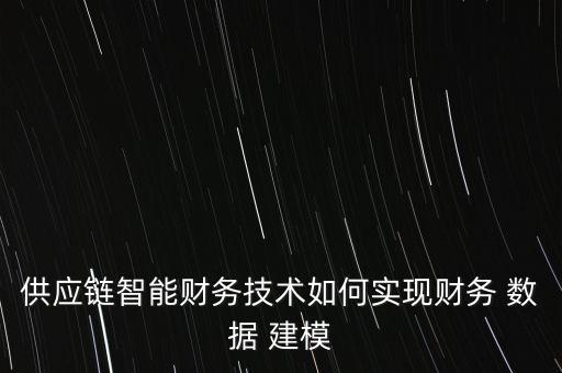 供應(yīng)鏈智能財務(wù)技術(shù)如何實(shí)現(xiàn)財務(wù) 數(shù)據(jù) 建模