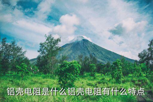 鋁殼電阻是什么鋁殼電阻有什么特點(diǎn)