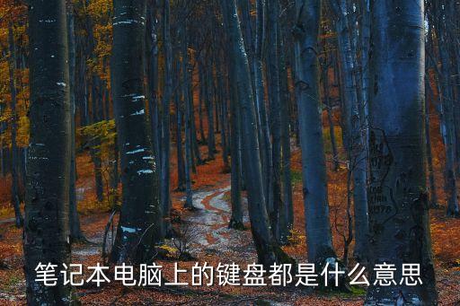 筆記本電腦上的鍵盤都是什么意思
