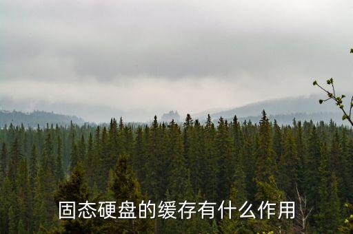 固態(tài)硬盤的緩存有什么作用