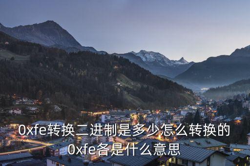 0xfe轉(zhuǎn)換二進(jìn)制是多少怎么轉(zhuǎn)換的0xfe各是什么意思