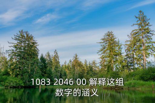 1083 2046 00 解釋這組數(shù)字的涵義