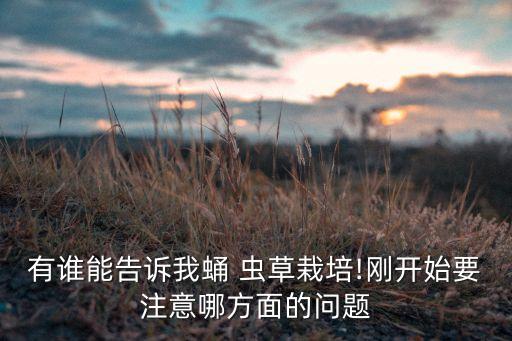 有誰能告訴我蛹 蟲草栽培!剛開始要注意哪方面的問題